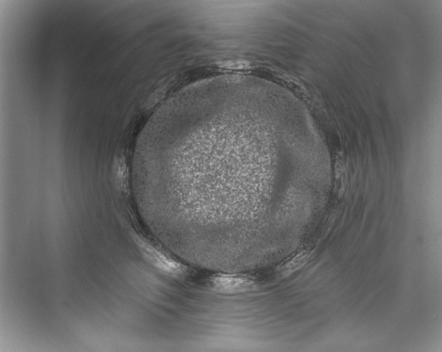 X0000073420614200608111353