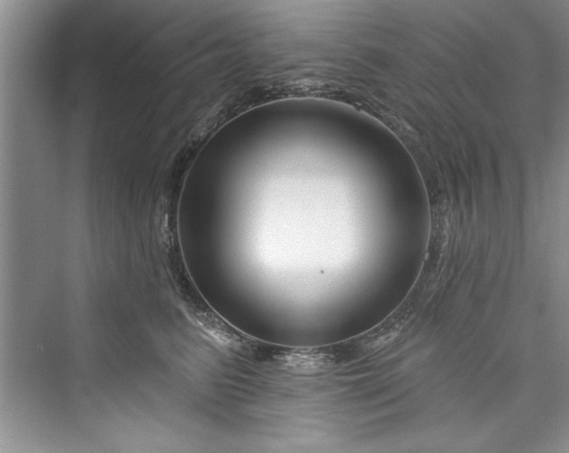 X0000073420615200608111353