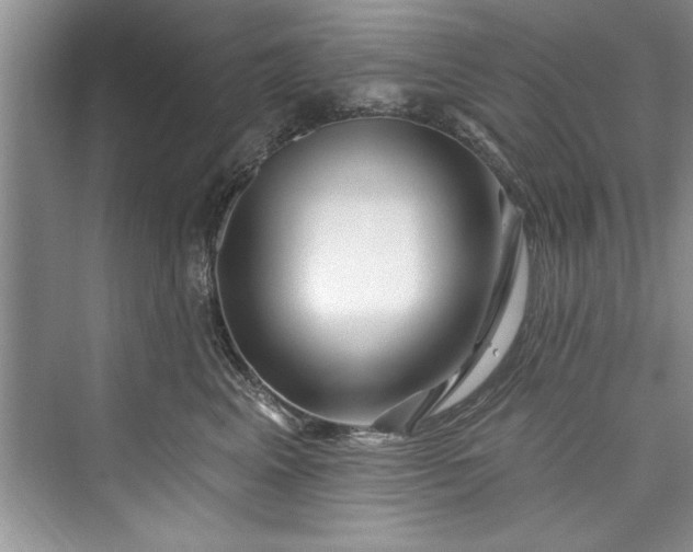 X0000073420617200608111353