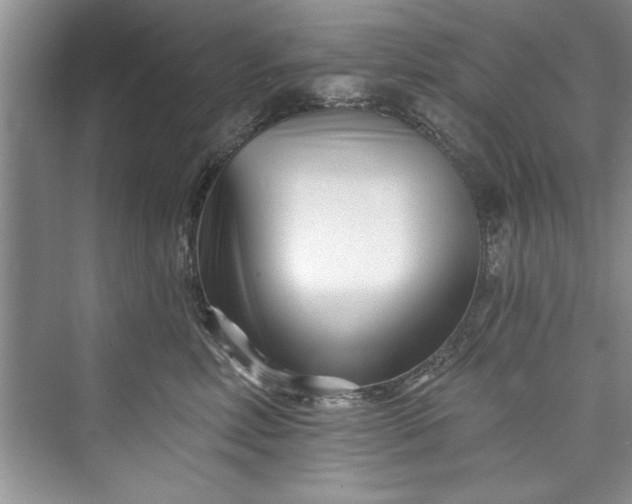 X0000073420618200608111352