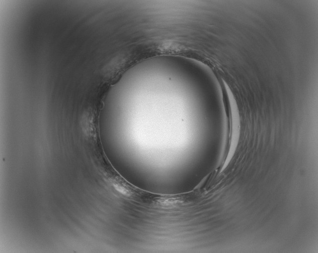 X0000073420619200608111352