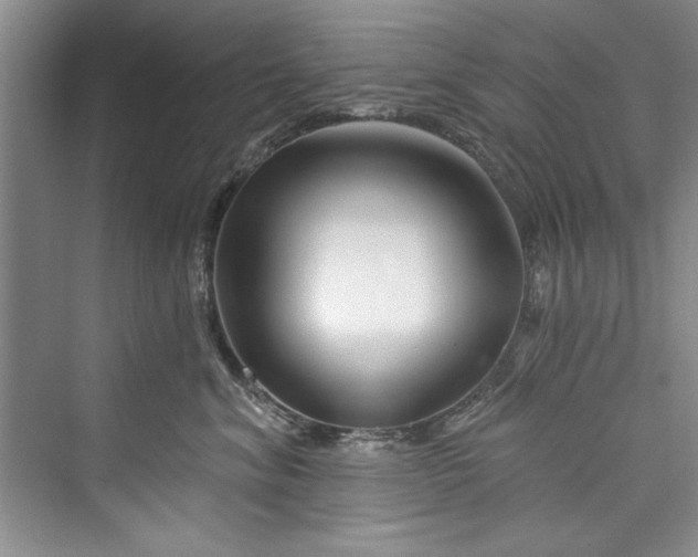 X0000073420620200608111352