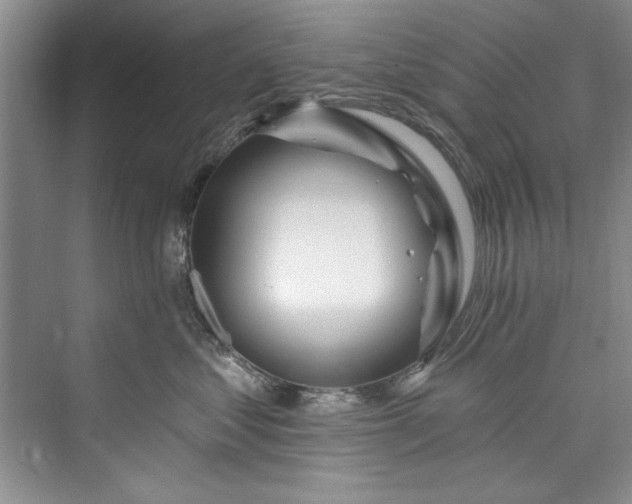 X0000073420621200608111352