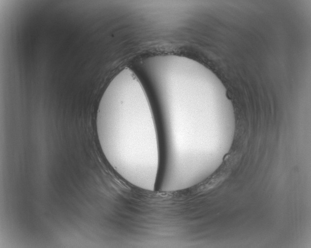 X0000073420624200608111352