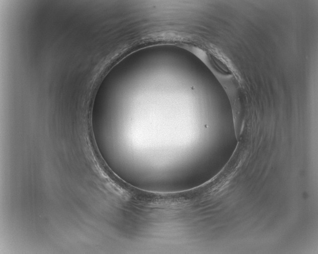 X0000073420625200608111352