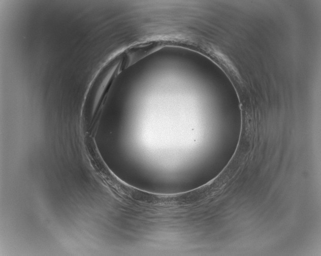 X0000073420628200608111352