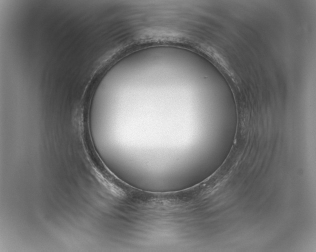 X0000073420629200608111352