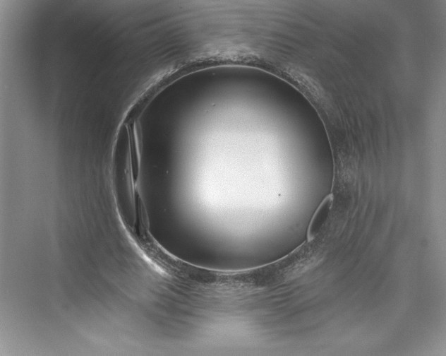 X0000073420630200608111352