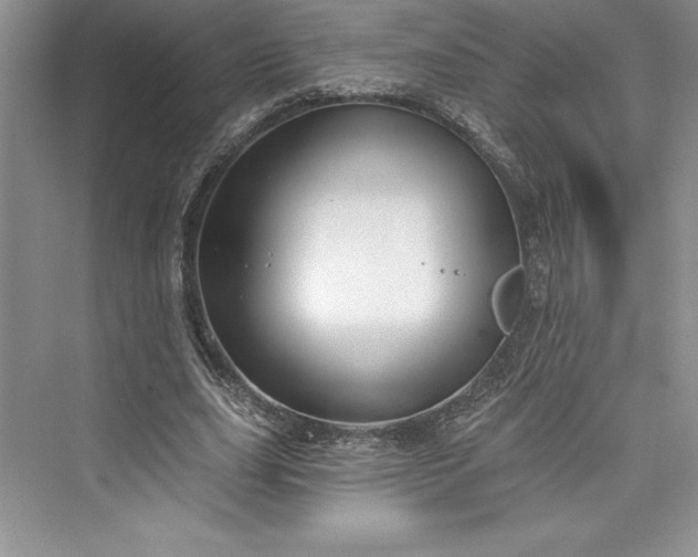 X0000073420631200608111352