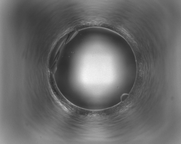 X0000073420634200608111352