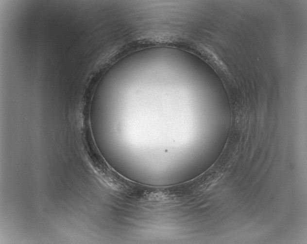 X0000073420635200608111352