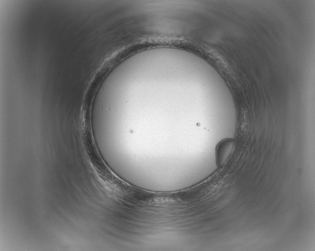 X0000073420636200608111352