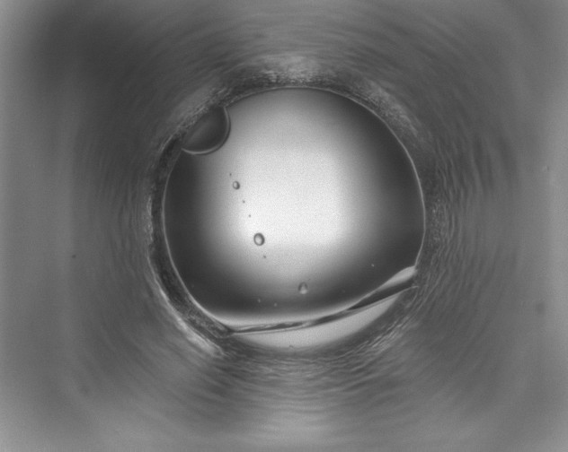 X0000073420638200608111352