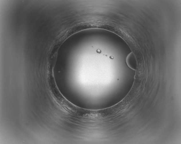 X0000073420639200608111352