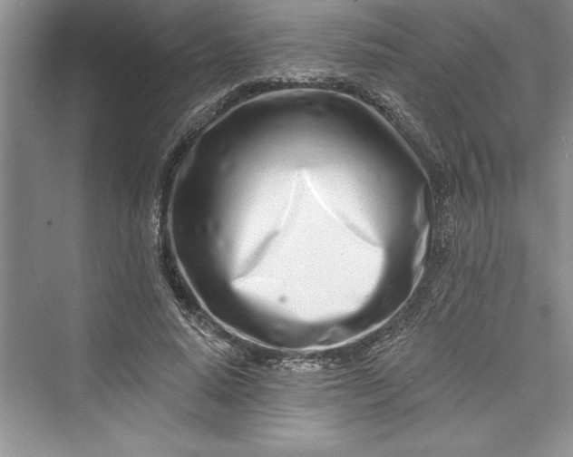 X0000073420640200608111352