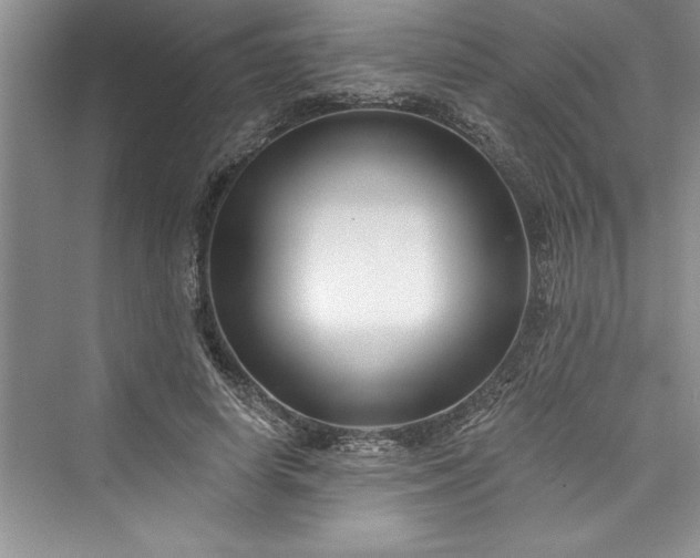 X0000073420642200608111352