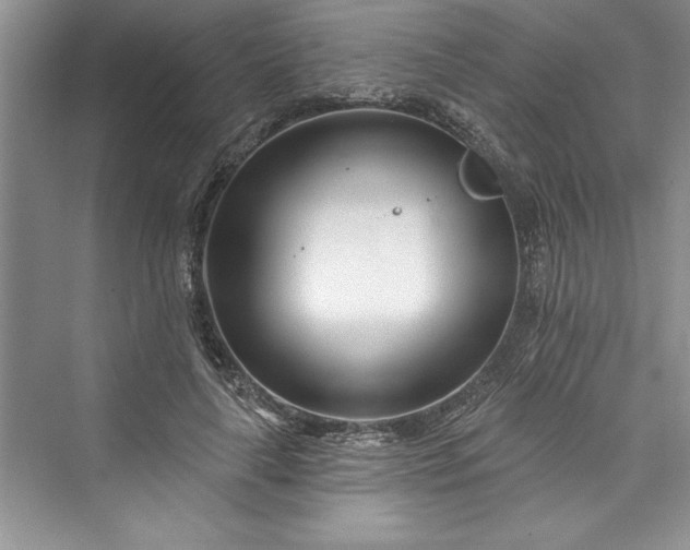 X0000073420643200608111352