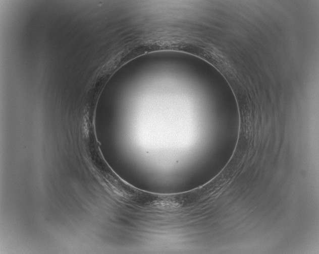 X0000073420644200608111352