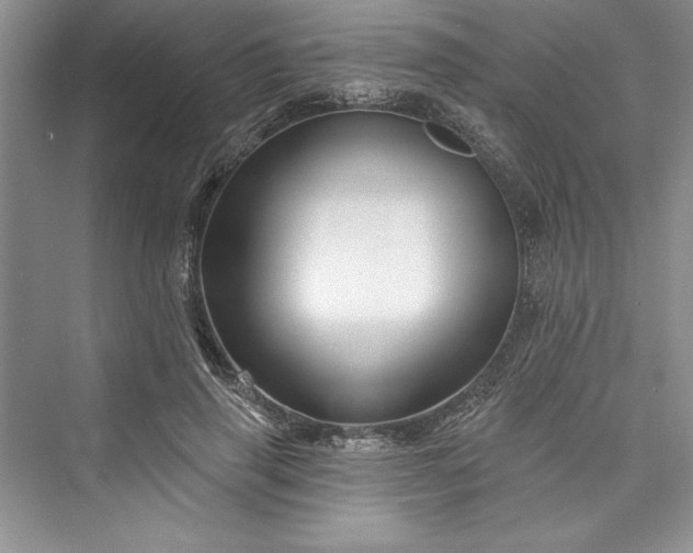 X0000073420645200608111352