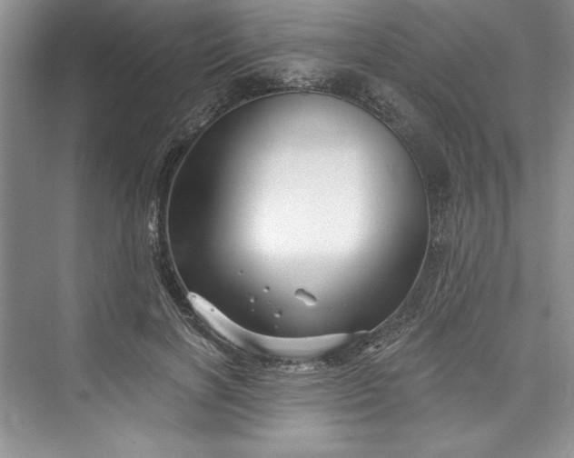 X0000073420646200608111352