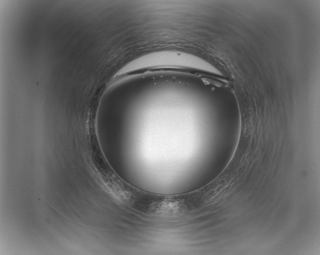 X0000073420647200608111352