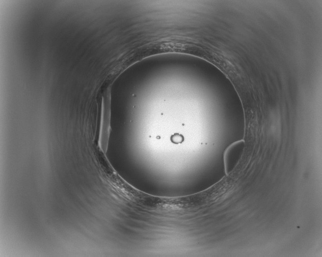 X0000073420649200608111352