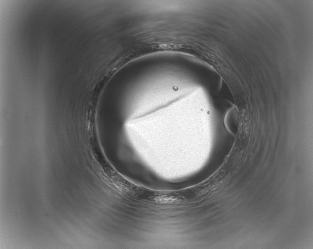 X0000073420650200608111352