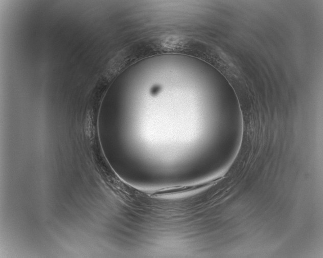 X0000073420651200608111352