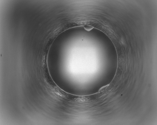 X0000073420652200608111352