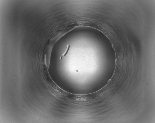 X0000073420653200608111352