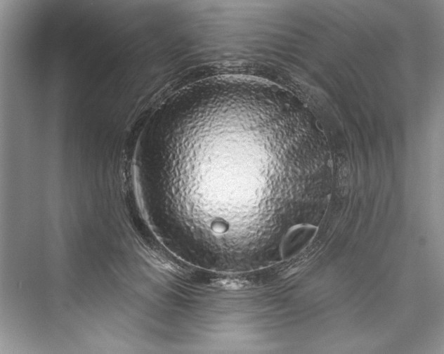 X0000073420654200608111352