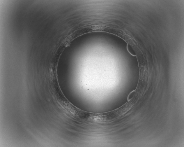 X0000073420655200608111352