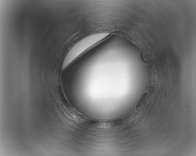 X0000073420656200608111352