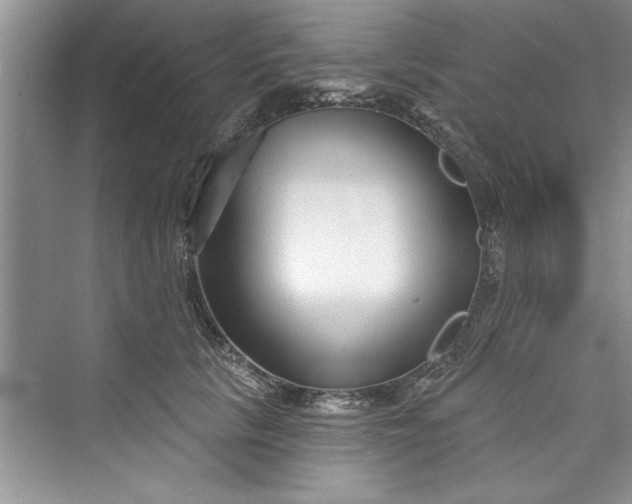 X0000073420657200608111352