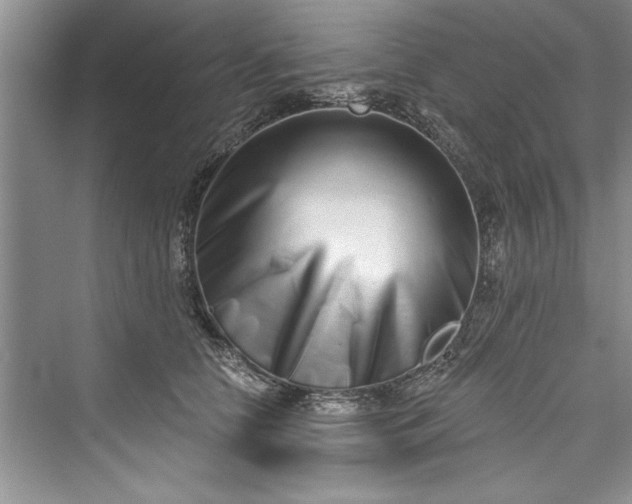 X0000073420658200608111352