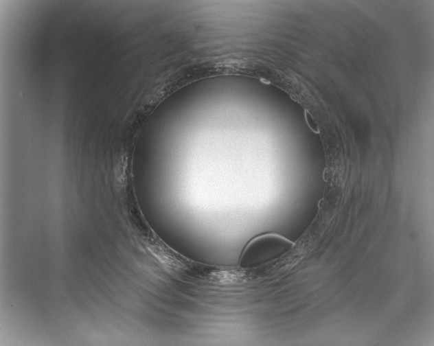 X0000073420660200608111352