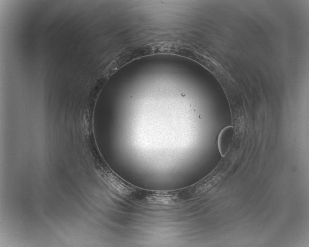 X0000073420661200608111352