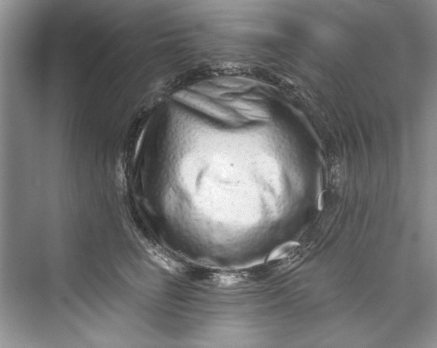 X0000073420662200608111352