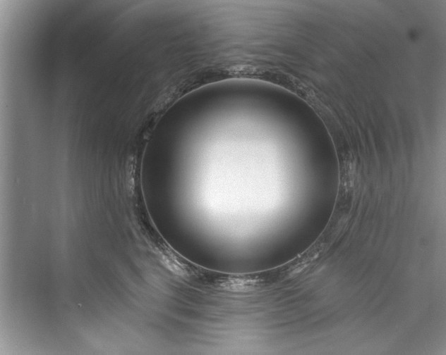 X0000073420664200608111352