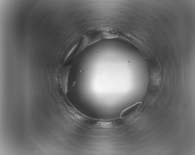 X0000073420665200608111352