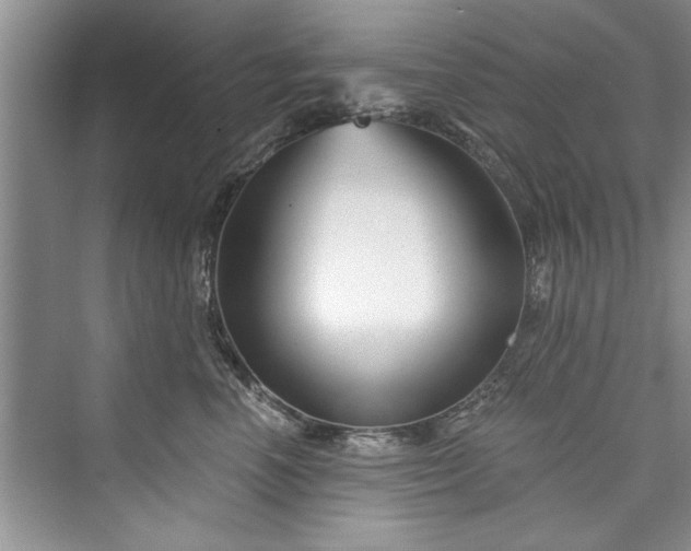 X0000073420666200608111352