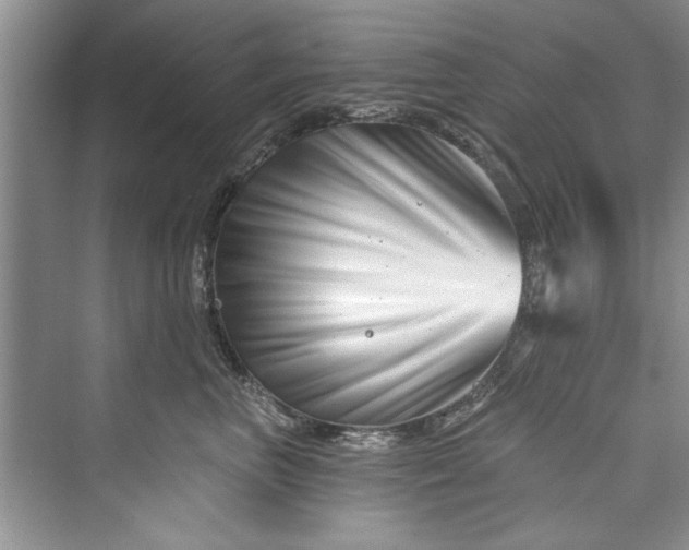 X0000073420667200608111352