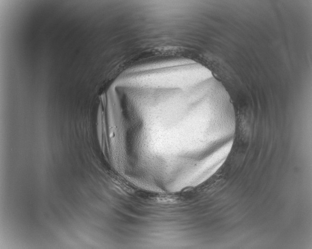 X0000073420668200608111352