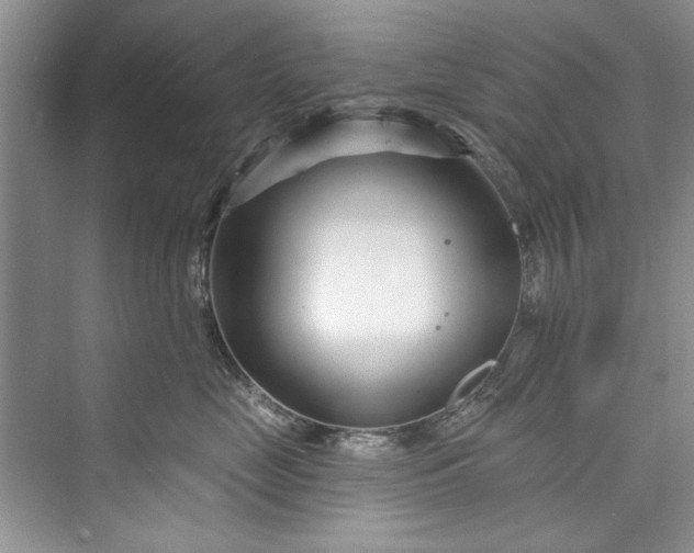 X0000073420669200608111352