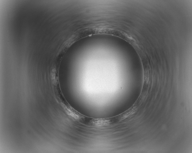 X0000073420670200608111352