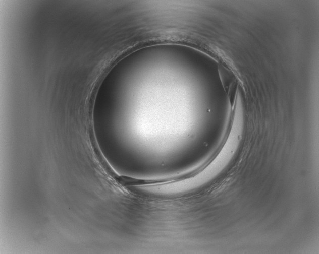 X0000073420673200608111352