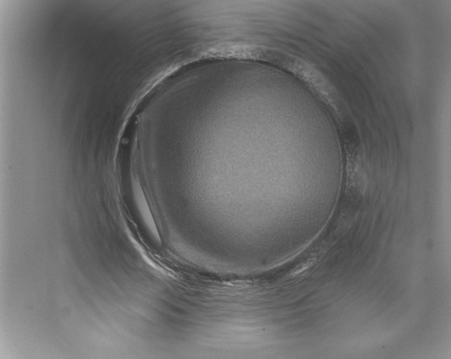 X0000073420674200608111352