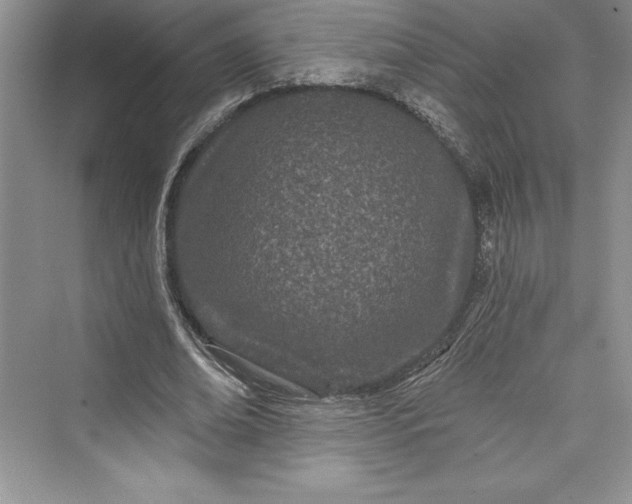 X0000073420678200608111351