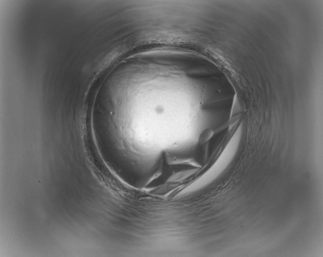 X0000073420679200608111351