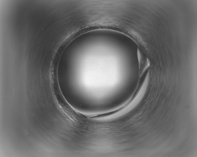 X0000073420680200608111351